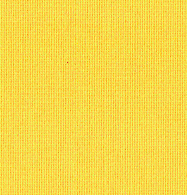 1157