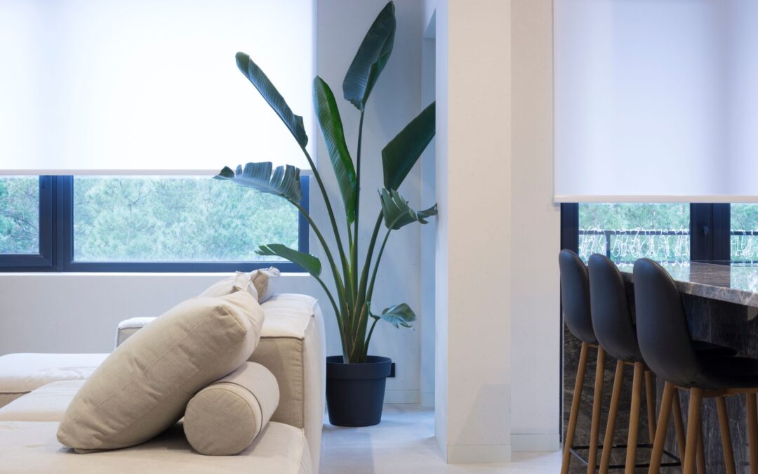 ¿Qué son y para qué sirven las persianas interiores?